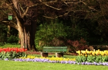 Czy beton nadaje się do zieleni miejskiej – odporność na warunki atmosferyczne