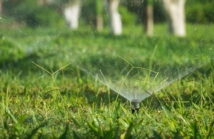 Nawadnianie ogrodu – systemy automatyczne, oszczędność i komfort