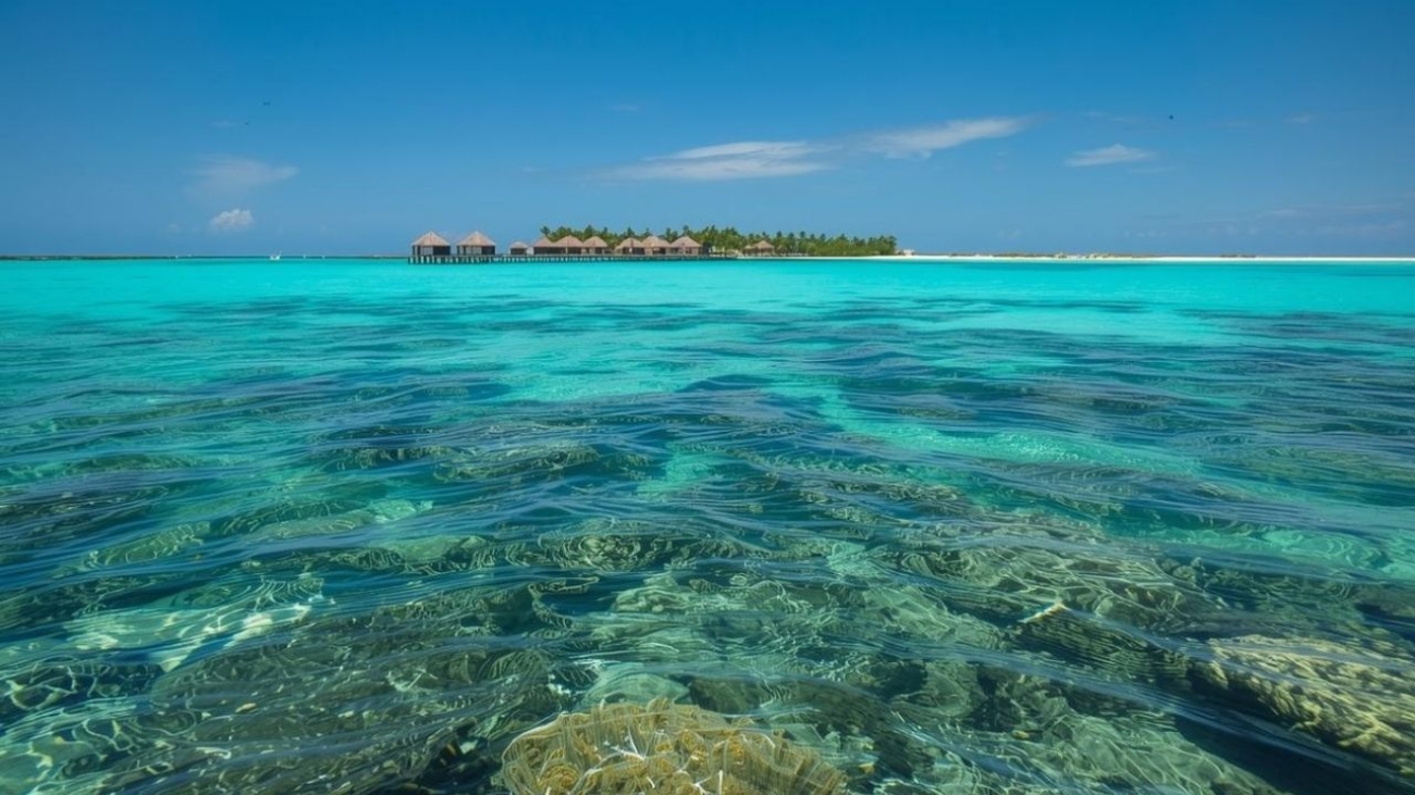 Wyprawa na Malediwy, Indonezję, Meksyk – wybierz kierunek marzeń