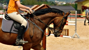 Akcesoria dla konia vs akcesoria dla jeźdźca – co warto mieć w zestawie?