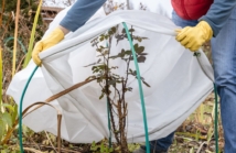Przygotowanie ogrodu na zimę – czego nie robić, a co zrobić z wyprzedzeniem?