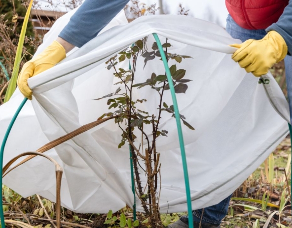 Przygotowanie ogrodu na zimę – czego nie robić, a co zrobić z wyprzedzeniem?