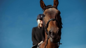 Wygoda w siodle — jak ubrania FairyHorse wspierają ruch i komfort