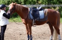 Czaprak z lejem silikonowym — zalety podczas skoków lub ujeżdżenia