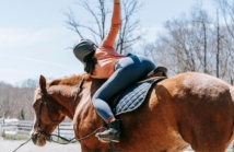 Jak dobrać rozmiar bryczesów przez internet? (tabela, pomiar, triki)
