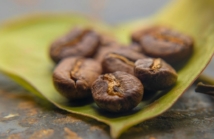 Kawa Kolumbia – czym się wyróżnia