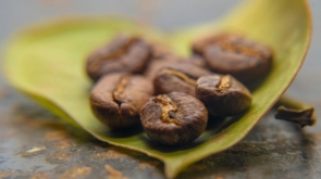 Kawa Kolumbia – czym się wyróżnia